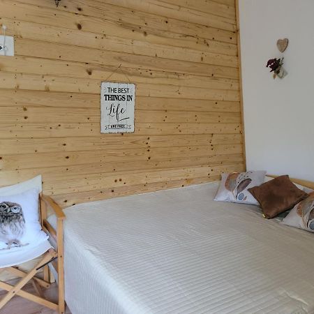 Cabana Praid Villa Bagian luar foto