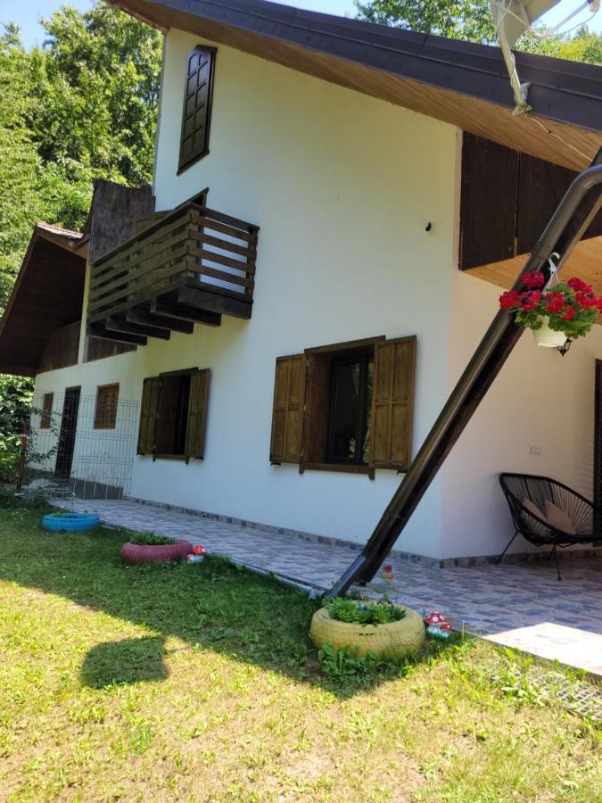 Cabana Praid Villa Bagian luar foto