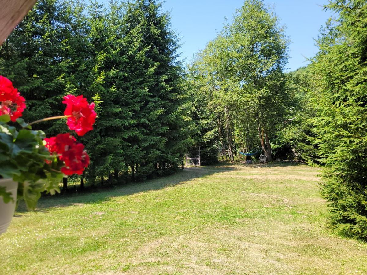 Cabana Praid Villa Bagian luar foto